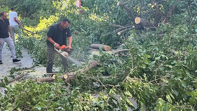 Fırtına Malatya'da yine zarar verdi