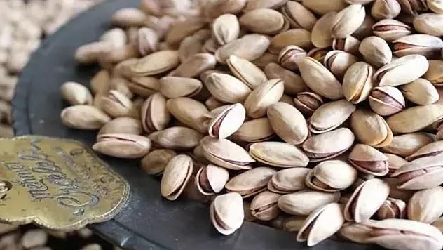 Gaziantep'te Fıstık Altınla Yarışıyor: Kilo Fiyatı 2.000 TL'ye Dayandı