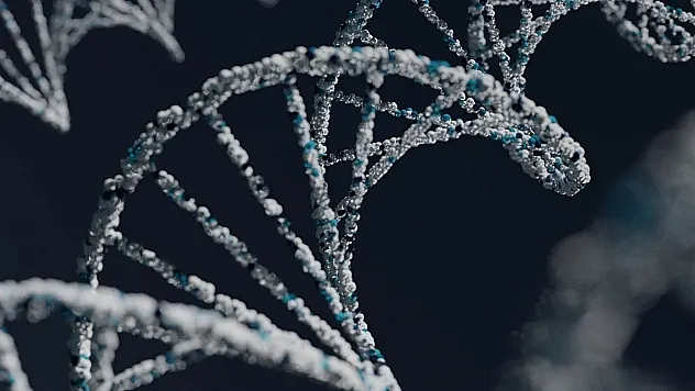 Genetik Bulgular Ruh Sağlığı Bozukluklarının Ortak Zeminini Ortaya Koydu