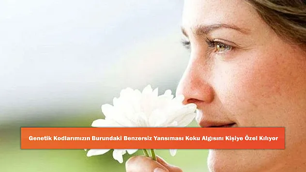 Genetik Kodlarımızın Burundaki Benzersiz Yansıması Koku Algısını Kişiye Özel Kılıyor