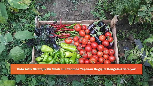 Gıda Artık Stratejik Bir Silah mı? Tarımda Yaşanan Değişim Dengeleri Sarsıyor!
