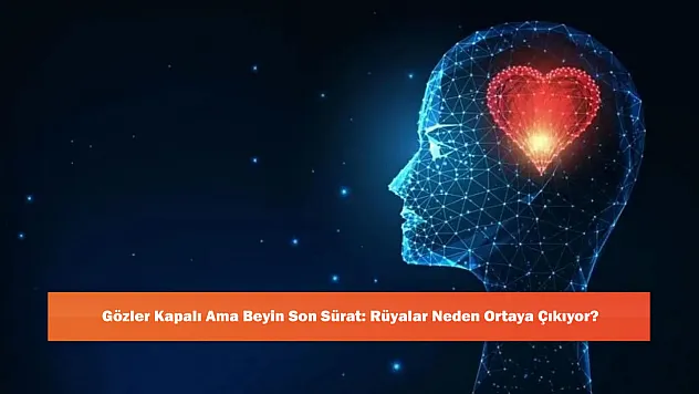 Gözler Kapalı Ama Beyin Son Sürat: Rüyalar Neden Ortaya Çıkıyor?