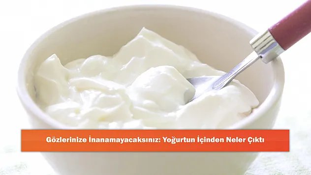 Gözlerinize İnanamayacaksınız: Yoğurtun İçinden Neler Çıktı