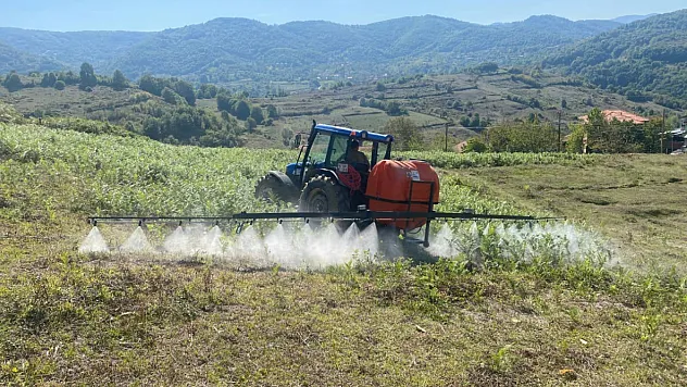 Greenpeace'ten Pestisit Uyarısı: Gıdamızdaki Zehir Kader Değil