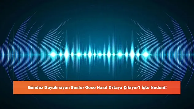 Gündüz Duyulmayan Sesler Gece Nasıl Ortaya Çıkıyor? İşte Nedeni!