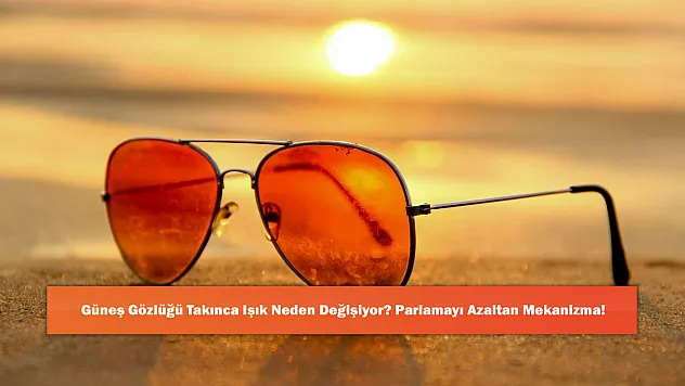 Güneş Gözlüğü Takınca Işık Neden Değişiyor? Parlamayı Azaltan Mekanizma!