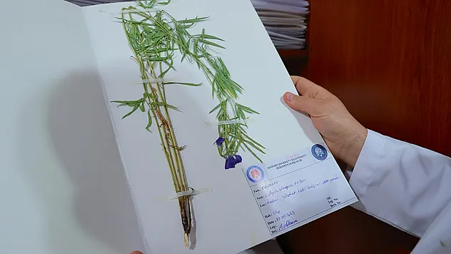 Hakkari'nin Yüksek Dağları Bilim Dünyasını Şaşırttı