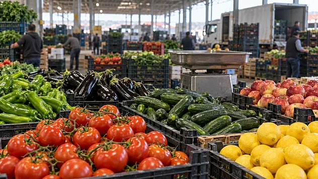 Hal Piyasasında Dikkat Çeken Soruşturma! 41 Yönetici İçin Gözaltı
