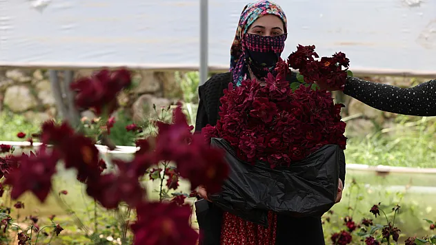 Halfeti'nin Saklı Cenneti Siyaha Büründü!