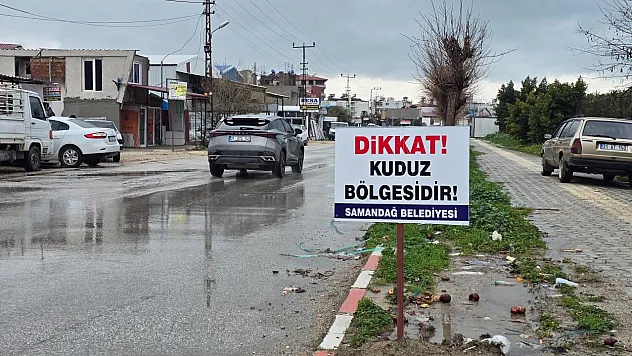 Hatay'da Kuduz Alarmı: 4 Mahalle Karantinada