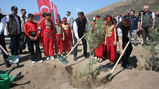 Hatay'da Yangının İzleri Yeşil Seferberlikle Siliniyor