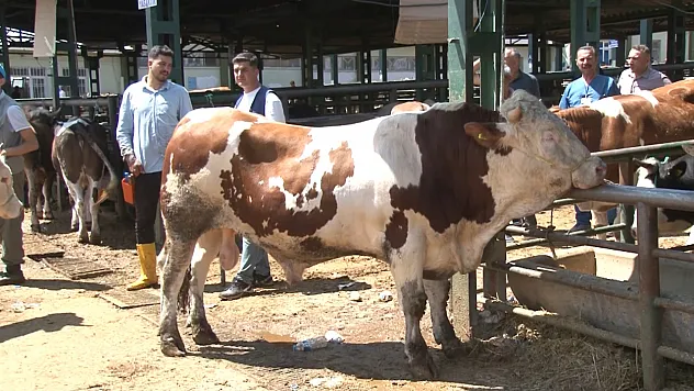 Hayvan Pazarı'nda bayram yoğunluğu