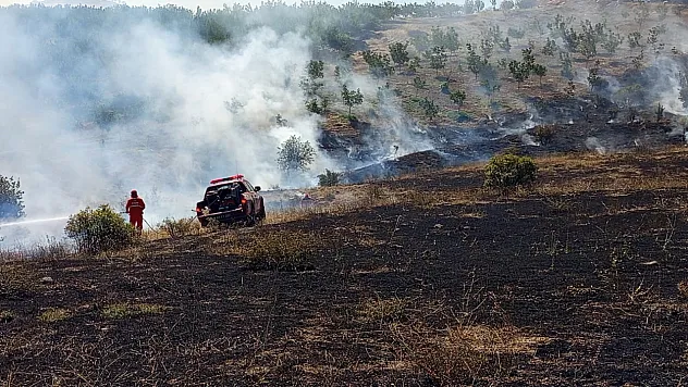 Hekimhan'da Orman Yangını Korkuttu