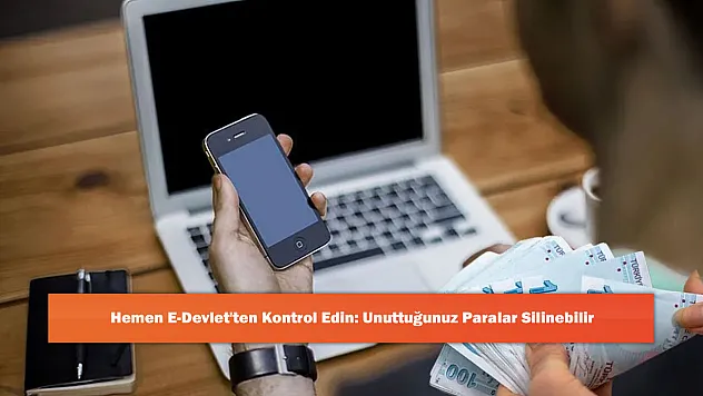Hemen E-Devlet'ten Kontrol Edin: Unuttuğunuz Paralar Silinebilir