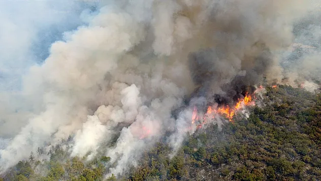 İki Bin Yangının Arkasındaki Korkunç İhmal Deşifre Oldu