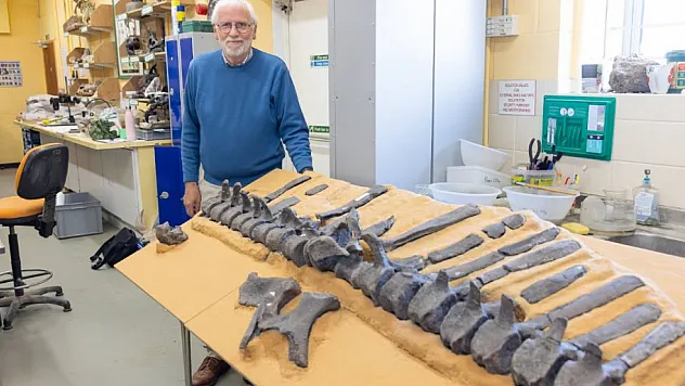 İngiltere'de Yeni Dinozor Türü Keşfedildi: 'İstiorachis Macaruthurae'