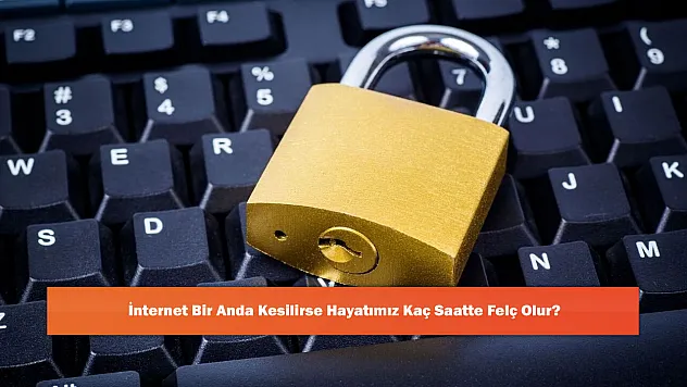 İnternet Bir Anda Kesilirse Hayatımız Kaç Saatte Felç Olur?