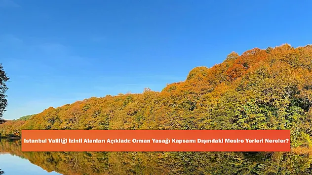 İstanbul Valiliği İzinli Alanları Açıkladı: Orman Yasağı Kapsamı Dışındaki Mesire Yerleri Nereler?