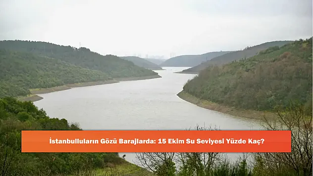 İstanbulluların Gözü Barajlarda: 15 Ekim Su Seviyesi Yüzde Kaç?