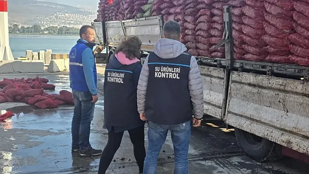 İzmir'de Büyük Operasyon: Belgesiz Taşınan 27 Ton Kara Midye Yakalandı!