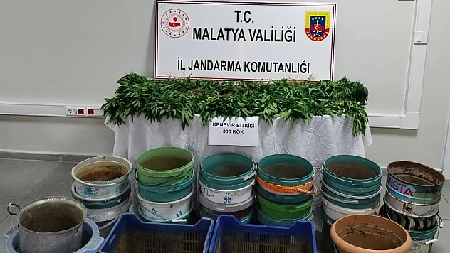Jandarmadan uyuşturucu operasyonu: 6 gözaltı