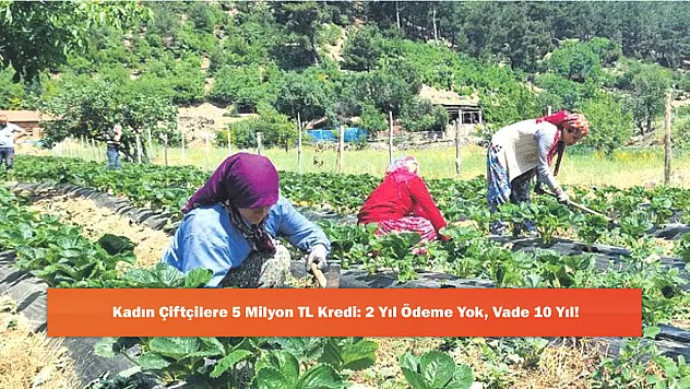Kadın Çiftçilere 5 Milyon TL Kredi: 2 Yıl Ödeme Yok, Vade 10 Yıl!