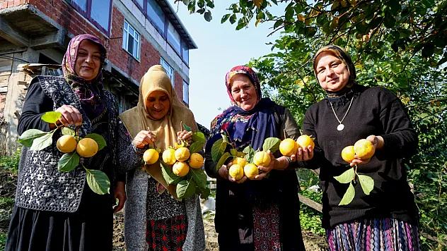 Kadınların Emeğiyle Şekillenen Coğrafi Tescilli Hurma