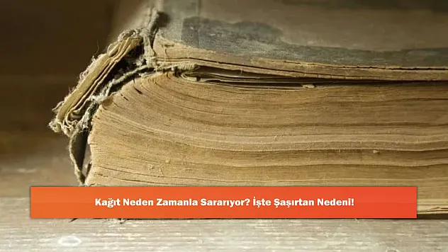 Kağıt Neden Zamanla Sararıyor? İşte Şaşırtan Nedeni!
