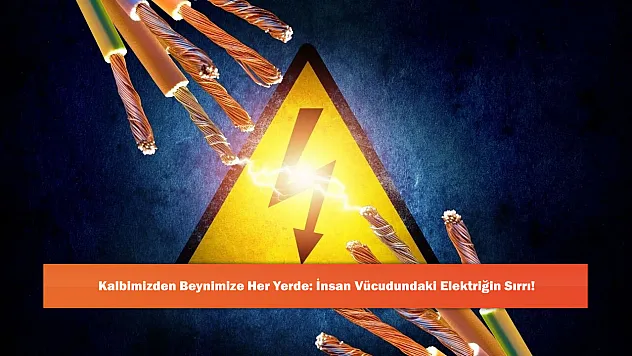 Kalbimizden Beynimize Her Yerde: İnsan Vücudundaki Elektriğin Sırrı!