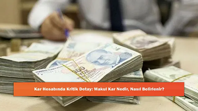 Kar Hesabında Kritik Detay: Makul Kar Nedir, Nasıl Belirlenir?