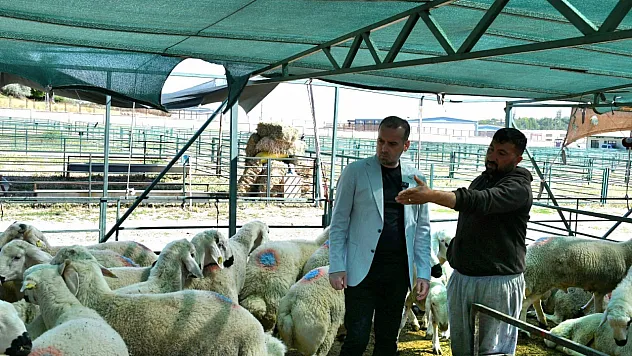 Karademir'den hayvan pazarı ziyareti
