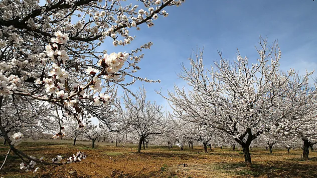 Kayısının Başkenti Malatya'da Doğa Her Mevsim Yeniden Canlanıyor!