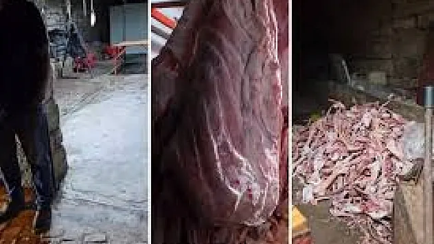 Kayseri'de Et Skandalı! Ahırdan Çıkan 1,5 Ton Kaçak Et İmha Edildi