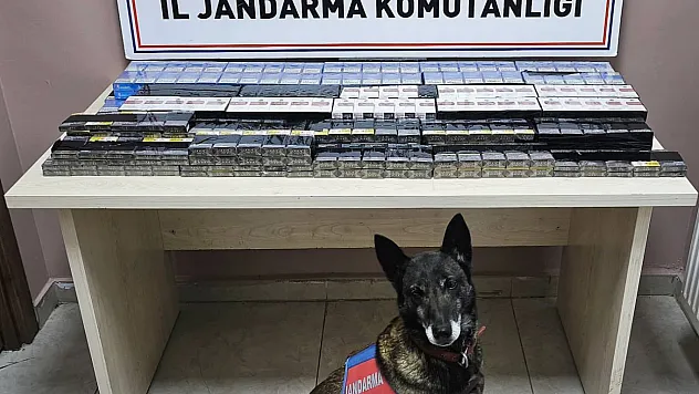 Malatya Yolu Üzerinde Jandarmadan Tır Operasyonu:Kaçak Sevkiyat Durduruldu