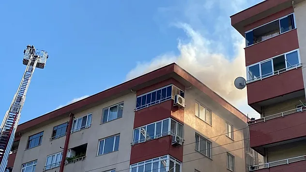 Kocaeli'de Tadilat Sırasında Çıkan Çatı Yangını Panik Yarattı! 7 Katlı Binada Korku Dolu Anlar