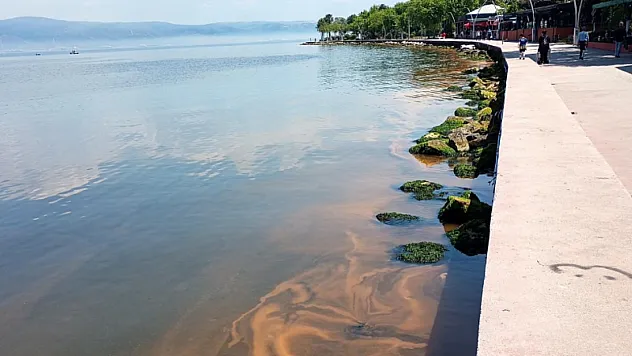 Kocaeli Kıyılarında Deniz Turuncuya Döndü!
