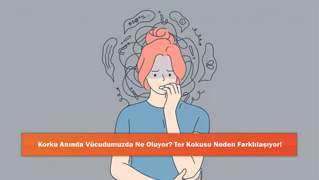 Korku Anında Vücudumuzda Ne Oluyor? Ter Kokusu Neden Farklılaşıyor!