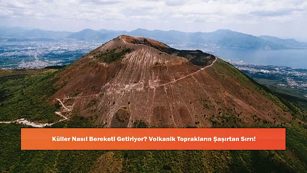 Küller Nasıl Bereketi Getiriyor? Volkanik Toprakların Şaşırtan Sırrı!