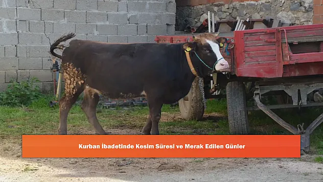 Kurban İbadetinde Kesim Süresi ve Merak Edilen Günler