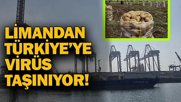Limandan Türkiye'ye virüs taşınıyor!