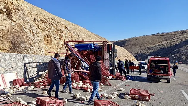 Malatya Akçadağ'da Kamyon Devrildi Yüzlerce Tavuk Telef Oldu