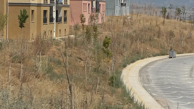 Malatya Bahçebaşı Toki  Konutlarında Yaşamı Zorlaştıran Sorunlar Bitmiyor