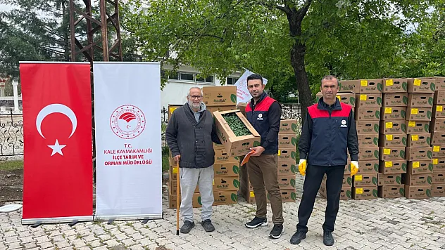 Malatya'da 62 Bin Sebze Fidesi Çiftçiye Dağıtıldı!