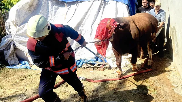 Malatya'da Ahır Yangını, Hayvanlar Kurtarıldı
