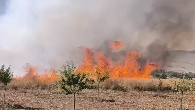 Malatya'da Alevler Buğday Tarlasını Yuttu