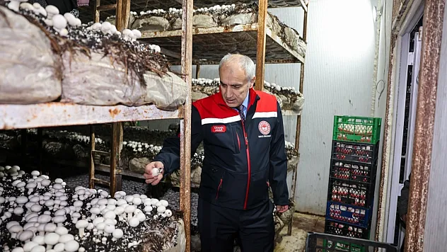 Malatya'da Alternatif Üretim Atağı: Akçadağ'da Mantar Tesisi!