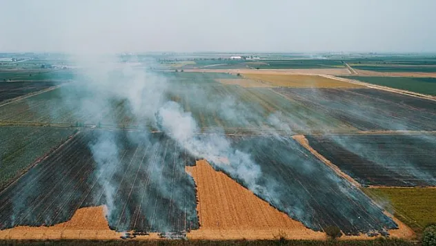 Malatya'da Anız Yakmanın Görünmeyen Bedeli Ortaya Çıktı!