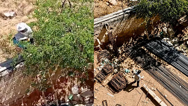 Malatya'da Arı Sürüsü Nedeniyle Şantiye Tahliye Edildi