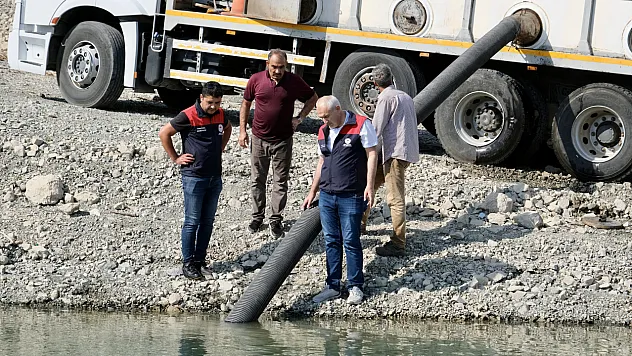 Malatya'da balık popülasyonu güçleniyor