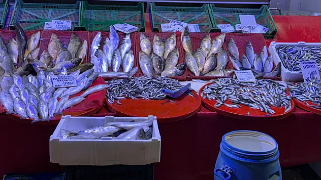 Malatya'da Balık Sezonu Başladı, Tezgahlar Doldu